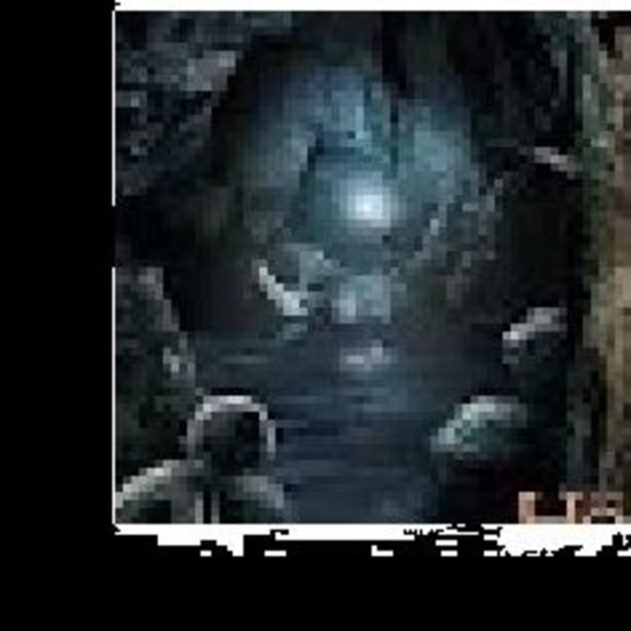 Meet your Posher, Bird - Picture 1 of 1